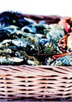 Plateaux de fruits de mer, Rech Paris